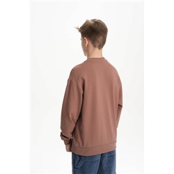 BFN3370 (Толстовка для мальчика, Pelican )