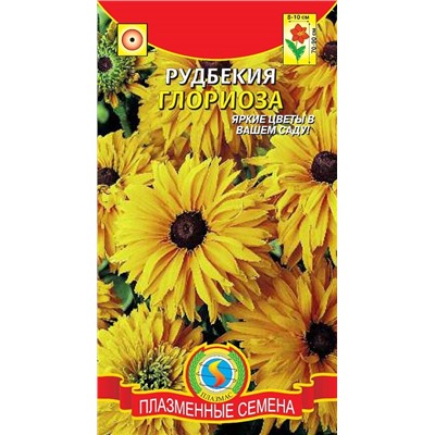 Рудбекия Глориоза (Код: 93708)