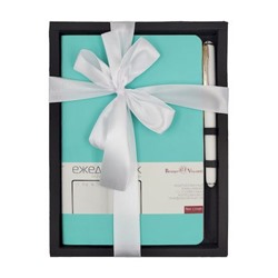 Подарочный набор Ежедневник недатированный А5 272 стр. "MEGAPOLIS FLEX" (ЗЕФИРНЫЙ МЯТНЫЙ)+ ручка 3-531/36-2 Bruno Visconti