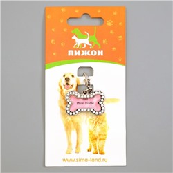 Адресник под записку «Косточка» малый, 3.2×2 см