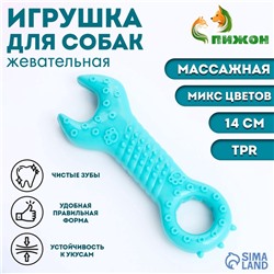 Игрушка массажная для собак «Ключ» 14 см, ТПР, микс цветов