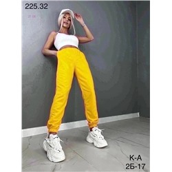 Джоггеры 1981143-1