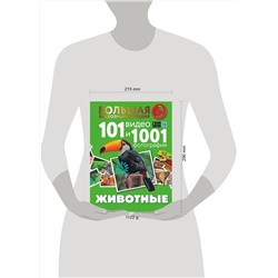АСТ Вайткене Л.Д., Хомич Е.О. "Животные. 101 видео и 1001 фотография"