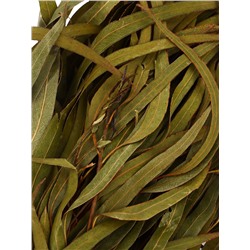 Веник для бани, эвкалиптовый, в еврослоте, «Добропаровъ»