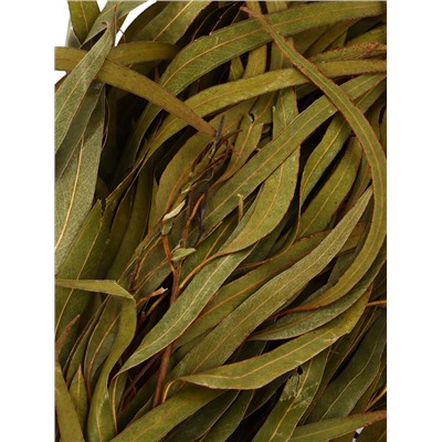 Веник для бани, эвкалиптовый, в еврослоте, «Добропаровъ»