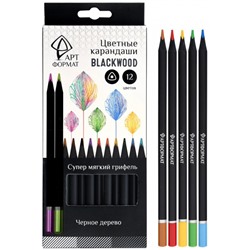 Карандаши 12цв трехгранные Blackwood супермягкие черное дерево AF03-051-12 ARTформат