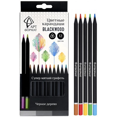 Карандаши 12цв трехгранные Blackwood супермягкие черное дерево AF03-051-12 ARTформат