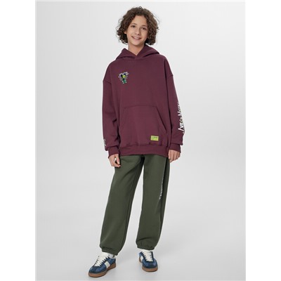 ХУДИ ДЛЯ МАЛЬЧИКОВ 123416-1