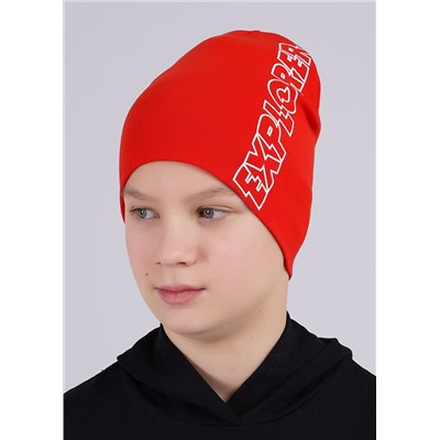 CLEVER Шапка