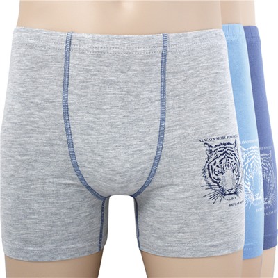 310699 (Трусы для мальчика боксеры, Baykar )