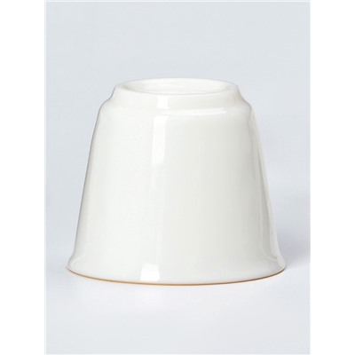 Набор для чайной церемонии ДЖЕКИЧАЙ «Исуми», 5 предметов, на 3 персоны, чашка 50 мл, чайник 180 мл, керамика, белый