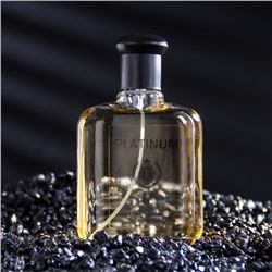 Туалетная вода мужская Favorit Platinum, 100 мл (по мотивам Egoiste Platinum (Chanel)