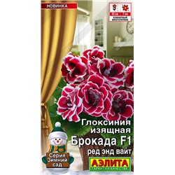 Глоксиния Брокада Ред энд Вайт  (Код: 93556)