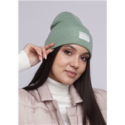 CLEVER Шапка