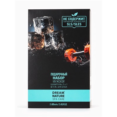 Подарочный набор мужской DREAM NATURE SPA CARE «Сила льда», шампунь 500 мл, гель для душа 500 мл