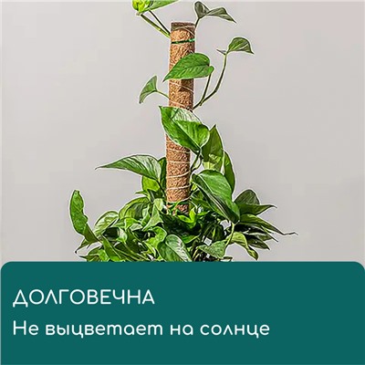 Опора для подвязки растений, h=60 см, d=5 см, кокосовая, Greengo
