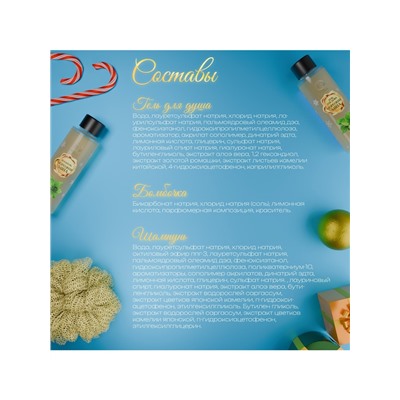 Новогодний подарочный набор косметики SB BEAUTY, шампунь, гель для душа, бомбочка, мочалка, с ароматом мяты и мандарина