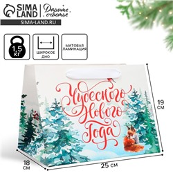 Пакет подарочный новогодний с широким дном «Чудесного Нового года», 25×19×18 см