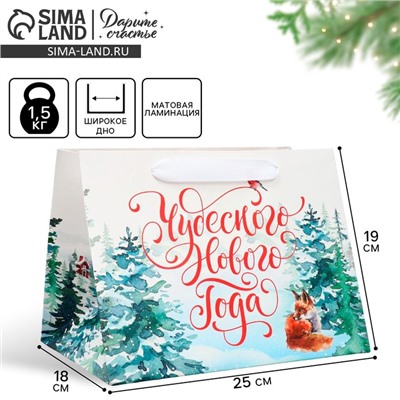 Пакет подарочный новогодний с широким дном «Чудесного Нового года», 25×19×18 см