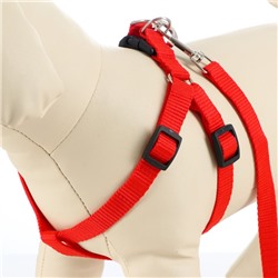 Комплект «Базис», поводок 120×1.5 см, шлейка 32-46×1.5 см, красный