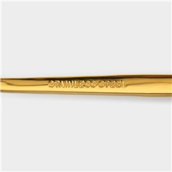 Набор чайных ложек Magistro «Блинк», длина 14.5 см, 6 шт., нержавеющая сталь, золотистый