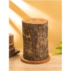 Скворечник подвесной «Старец» дерево Джампинис 20×20×27 см, дерево джампинис