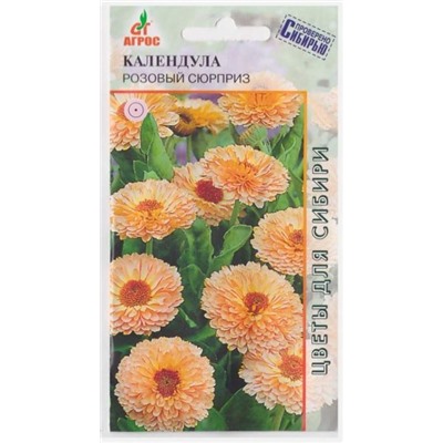Календула Розовый сюрприз (Код: 66151)