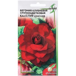 Семена Цветов Бегония крупноцветковая «Камелия», красная, 10 шт., «Дом семян»