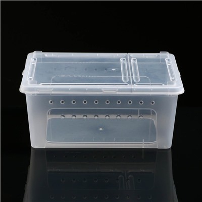 Переноска - отсадник для рептилий, 26×17.5×11.5 см, прозрачная