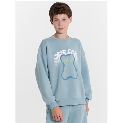 СВИТШОТ ДЛЯ МАЛЬЧИКОВ 123447