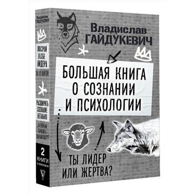 АСТ Гайдукевич В.А. "Большая книга о сознании и психологии: ты лидер или жертва?"