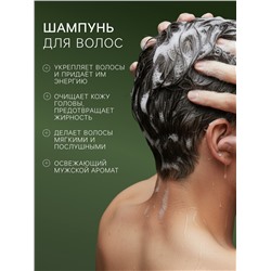 Подарочный набор мужской ACTIVE LINE, гель для душа 250 мл, шампунь 250 мл