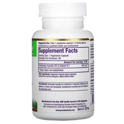 Paradise Herbs, кордицепс штамма CS-4, 60 вегетарианских капсул