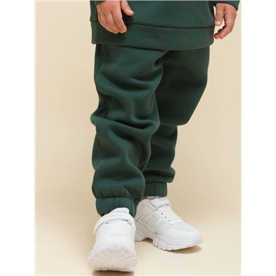 PELICAN Брюки UFPQ3323