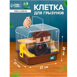 Клетка для грызунов «Пижон», 27×21×26 см укомплектованная, коричневая