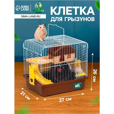 Клетка для грызунов «Пижон», 27×21×26 см укомплектованная, коричневая