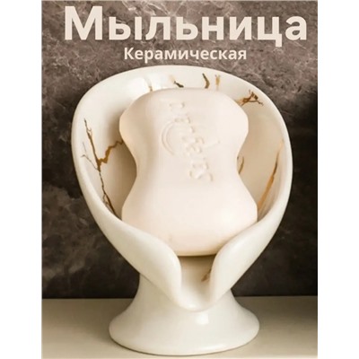 Мыльница #22951313