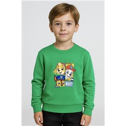 Свитшот для мальчика ROC26