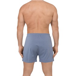 DR_F5010 (Трусы мужские боксеры, Den Rey )