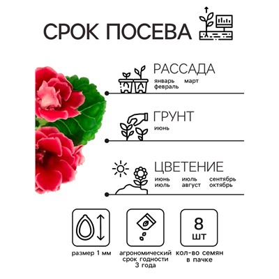 Семена комнатных цветов Глоксиния Аванти "Персиково-розовая", ц/п,  F1, 8 шт.