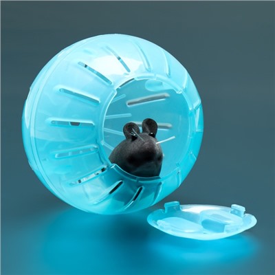 Шар для грызунов Пижон FRIENDS, 10 см, голубой