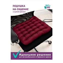 Подушка для мебели Bio-Line с гречневой лузгой PSG25 НАТАЛИ, 879649