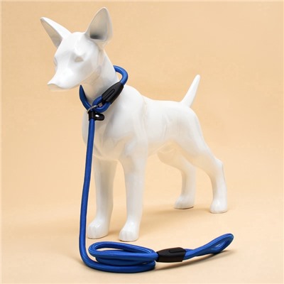 Ринговка для собак, 130×1 см, синяя