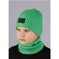 CLEVER Шапка