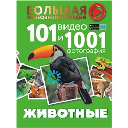 АСТ Вайткене Л.Д., Хомич Е.О. "Животные. 101 видео и 1001 фотография"