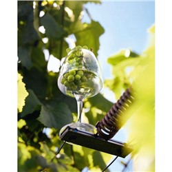 Бокал для вина Chef&Sommelier OPEN UP, 320 мл, стекло
