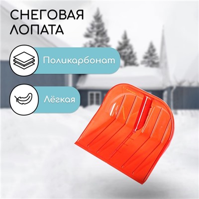 Ковш лопаты для уборки снега, 430×420 мм, поликарбонат, без планки, тулейка 36 мм, МИКС