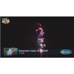 Фейерверк Р7008 Бешеный страус (0,3" х 100)