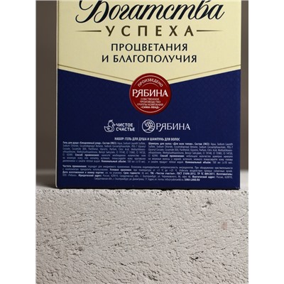 Подарочный набор косметики «Богатства!», гель для душа и шампунь для волос во флаконах виски, 2×100 мл, Чистое счастье