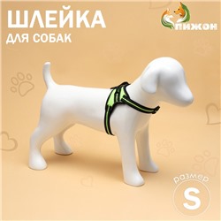 Шлейка улучшенная К7 мягкая светоотражающая, размер S, ОГ 44-55 см, вес 5-9 кг, зелёная